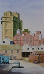 Ipswich Museum collection